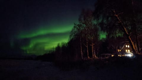 Susitna River Lodging, Backwoods Cabins Nature lodge in Talkeetna