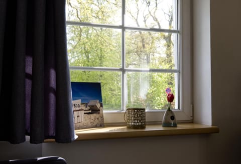 View (from property/room), View (from property/room)