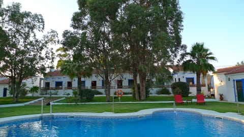 Garden, Swimming pool