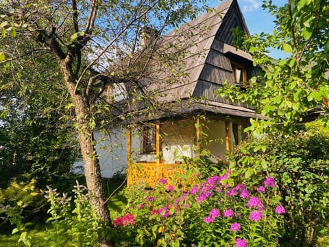 Domek Leśny Nature lodge in Zakopane