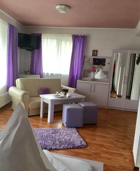 Pensiunea Carina Bed and Breakfast in Bran