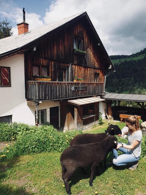 Animals