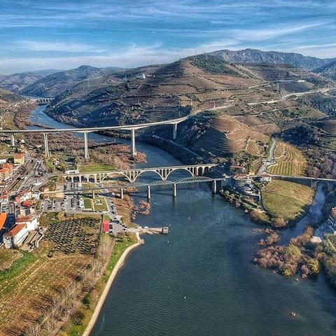 Casa Da Fonte Da Torre House in Vila Real District