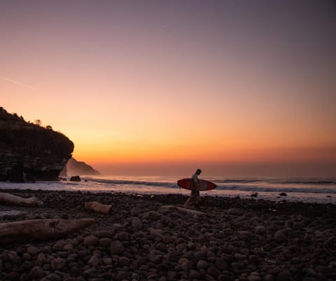 Natural landscape, Beach, Sunset