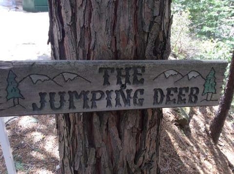 Jumping Deer Apartment in Yosemite Park Way