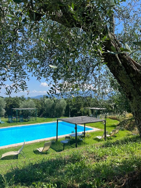 Natural landscape, Garden view, Swimming pool