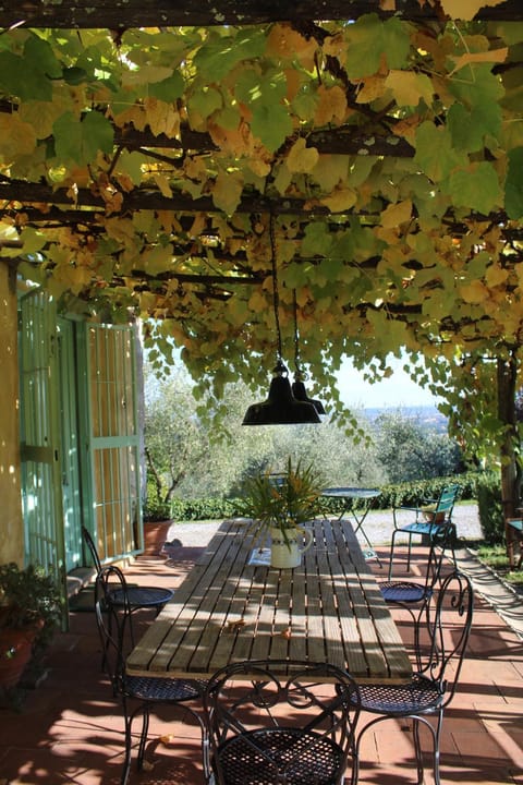 Patio, Day, Natural landscape, Dining area, Garden view