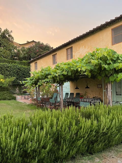 Property building, Patio, Day, Garden view