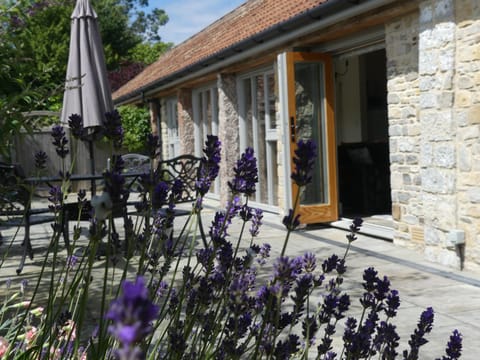 Patio, Garden view