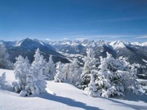 Pension Grubenhof Séjour à la ferme in Tyrol