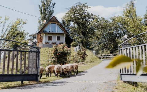 Property building, Natural landscape, Animals