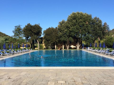 Day, Pool view, Swimming pool