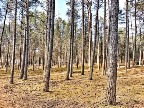 Natural landscape, Hiking