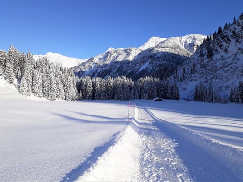 Natural landscape, Winter