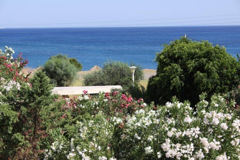 Garden, Sea view