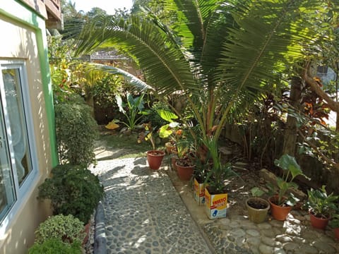 Glorias Green House Bed and Breakfast in San Vicente