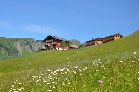 Property building, Summer, Hiking, Mountain view