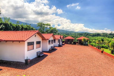 Hotel Mango Valley Hotel in San José Province