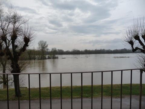 Natural landscape, River view