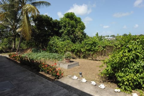 Garden, Garden view