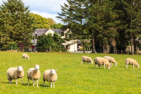 Langdon Farm Guest House Bed and Breakfast in Wales