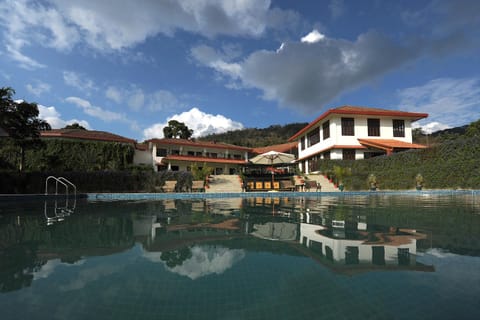 Bird's eye view, Garden, Swimming pool