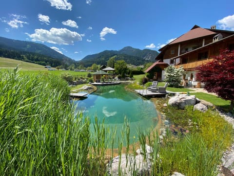 Garden, Swimming pool