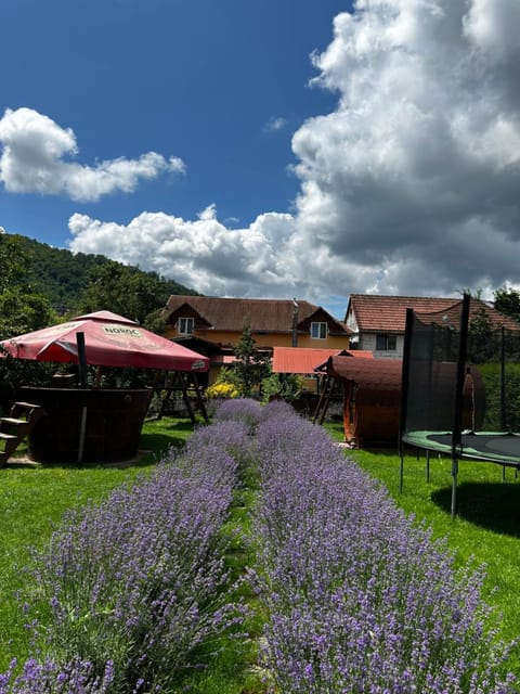 La Teo House in Timiș County