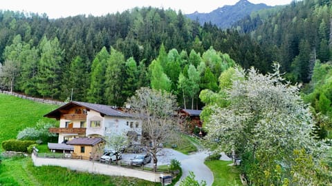 Spring, Mountain view