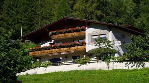 Property building, Neighbourhood, Other