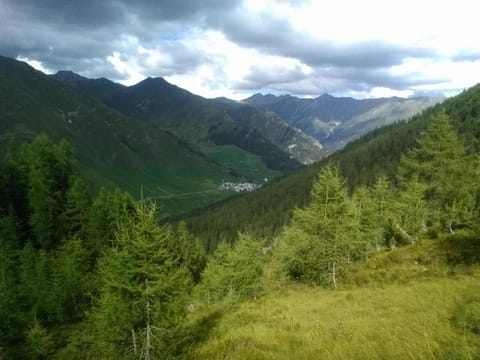 Haus Viola Apartment in Canton of Grisons