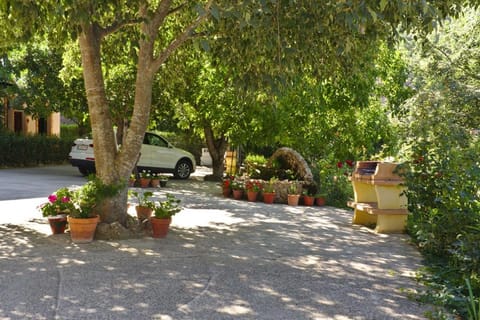 Casa Rural Arroyo Rechita Maison de campagne in Sierra de Cazorla Comarca