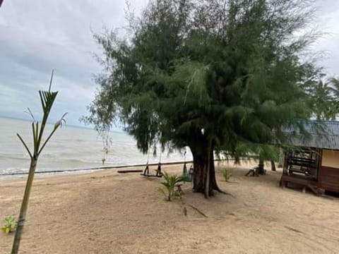 Day, Natural landscape, Beach, Sea view