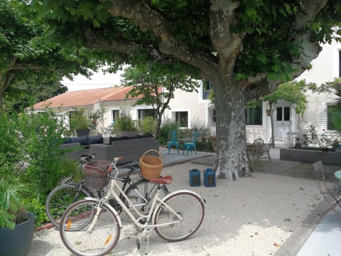 Patio, Garden