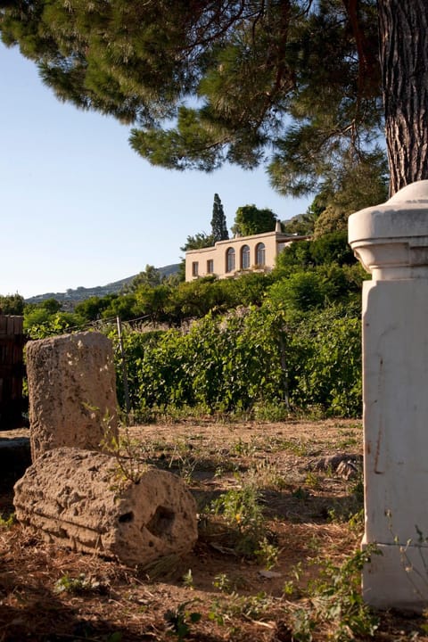 Montofoli Wine Estate Haus in Euboea