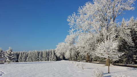 Natural landscape, Winter