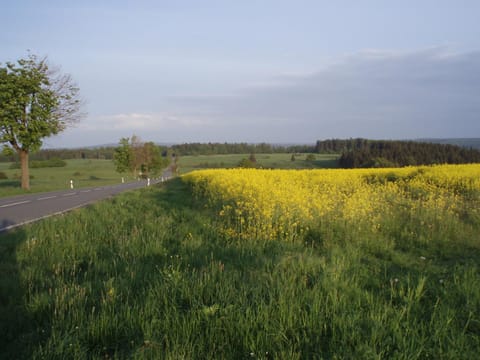 Off site, Natural landscape