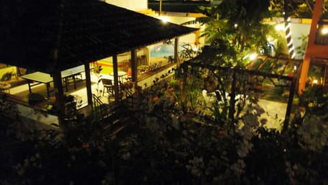 Night, Garden view