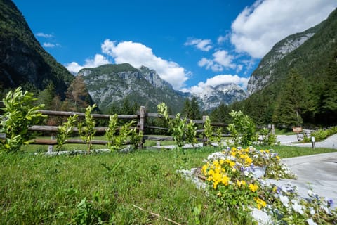 Natural landscape, Mountain view