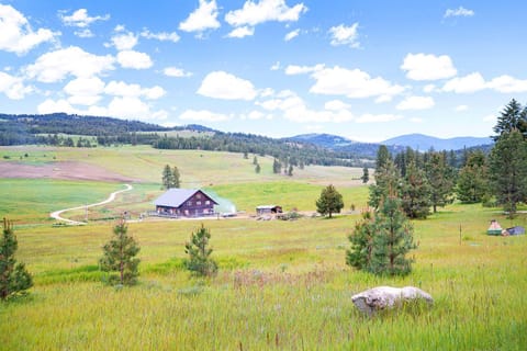 Cosmos Cabin House in Washington