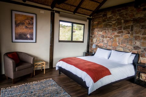 Ikwanitsha Lodge Natur-Lodge in Eastern Cape