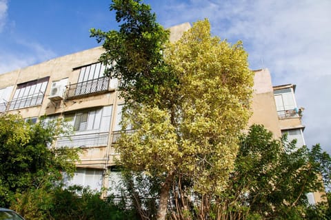 Apartment Serenity Apartamento in Tel Aviv District