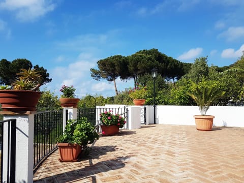 Patio, Garden, Balcony/Terrace