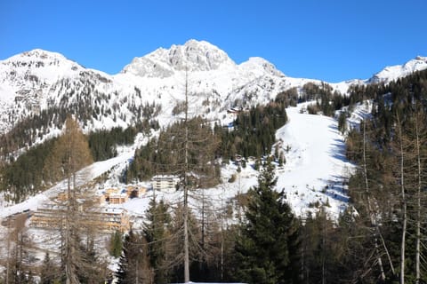 Hotel Berghof Hotel in Friuli-Venezia Giulia