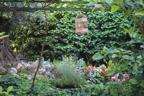 Garden, Balcony/Terrace