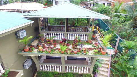 Jacamar Corcovado Drake Bay Hotel in Puntarenas Province