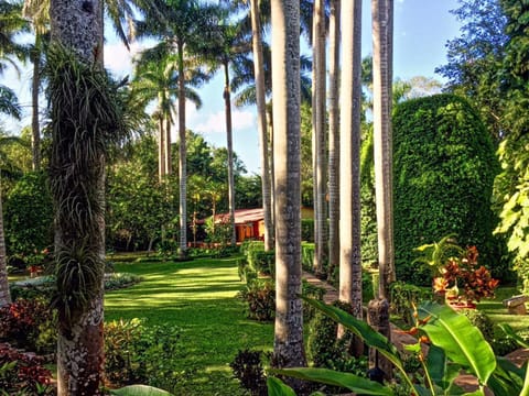 Natural landscape, Garden view