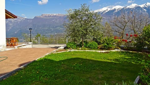 Patio, Garden, Garden view