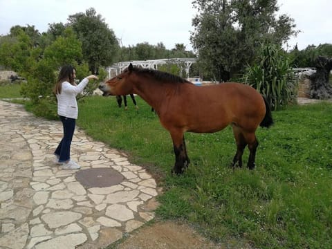 Garden, Horse-riding