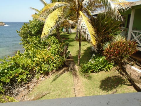 Cabier Ocean Lodge Bed and Breakfast in Grenada